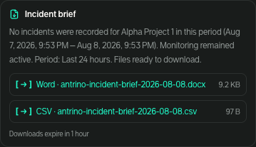 Incident brief report ready to download